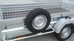 C26.webp
