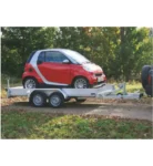 T27.webp